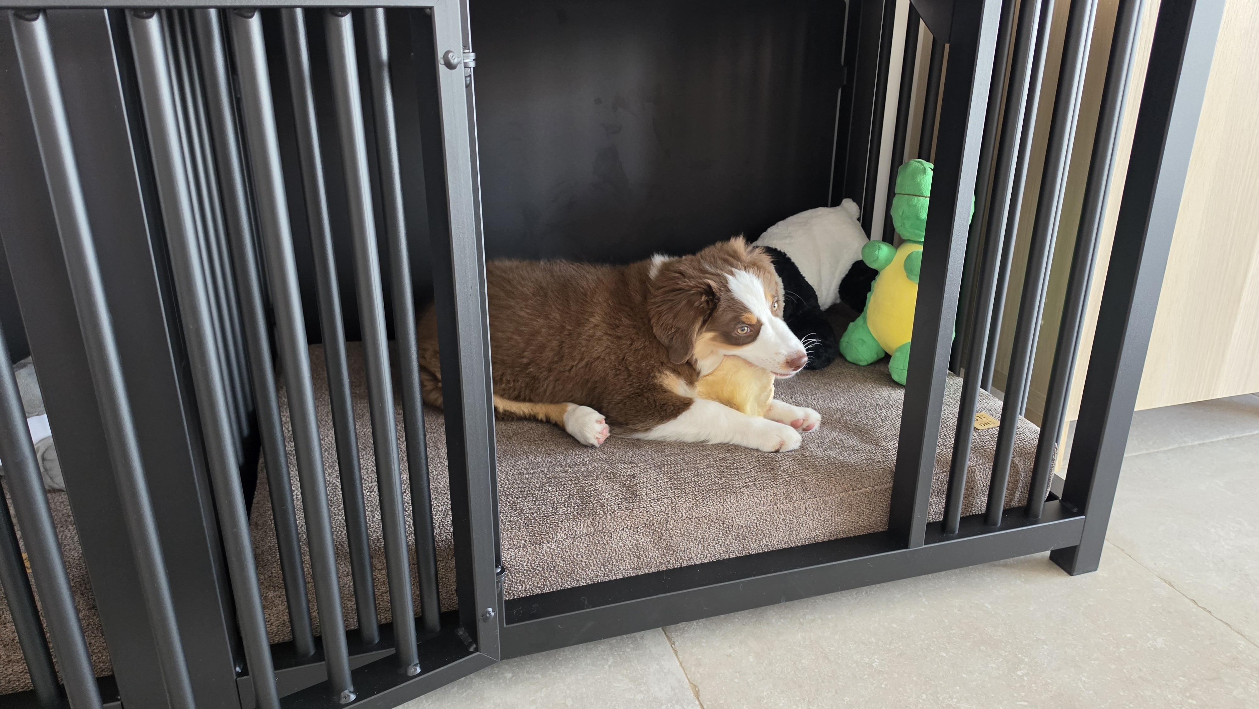 Klantfoto van twee stalen hondenbenches naast elkaar in huis