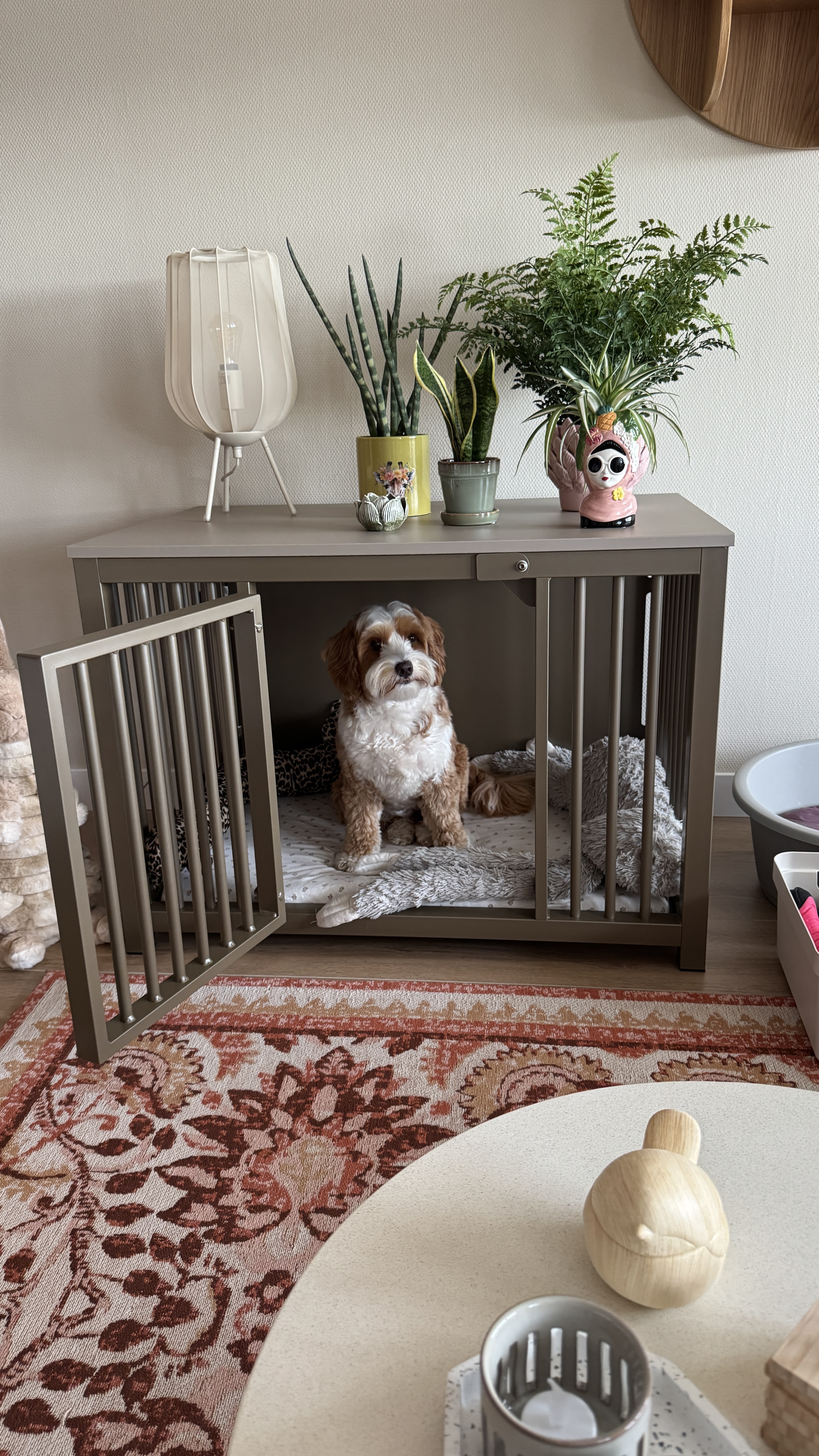 Klantfoto van een stalen hondenbench met hond Indy erin